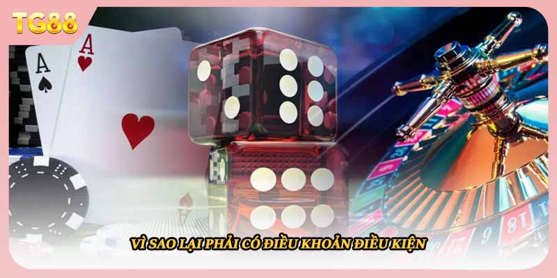 Vì sao lại phải có điều khoản điều kiện